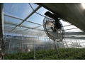 Klimafogtech_zraszanie